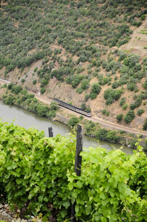 Rural Quinta Do Pego Hotel Tabuaco